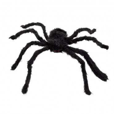 Grosse araignée velue noire