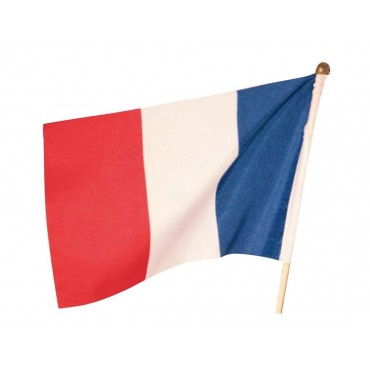 Set de 12 drapeaux de France 15 x 23 cm